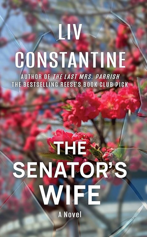 2 - February - The Senator's Wife.jpg