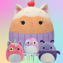 Beanstack - Squishmallow Set.png